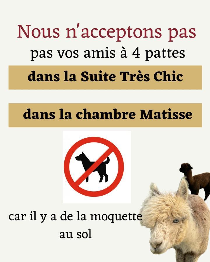 The Alpaca B&B Chalais  Exteriér fotografie
